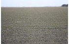 Property photo 2 - Kansas Land Auction - 960 Acres - 7 Farms in 3 Counties